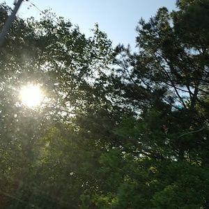 Meet your Posher, Riot